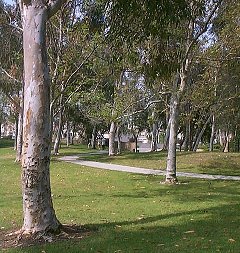 West Coyote Hills Park