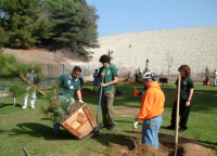 Tree planting 2016