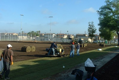 20. Laying turf