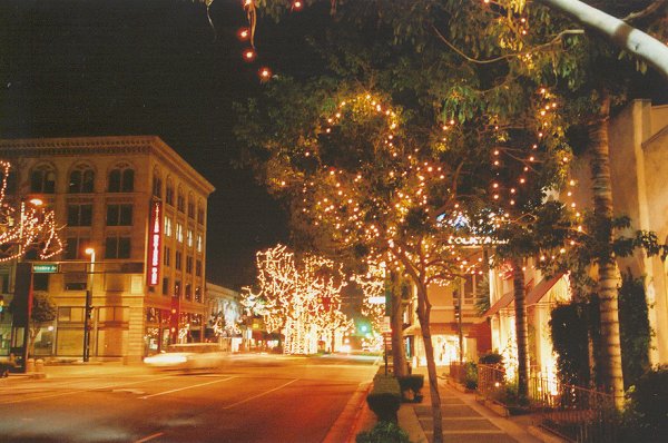 White Lights Adorn the Trees on Harbor Boulevard