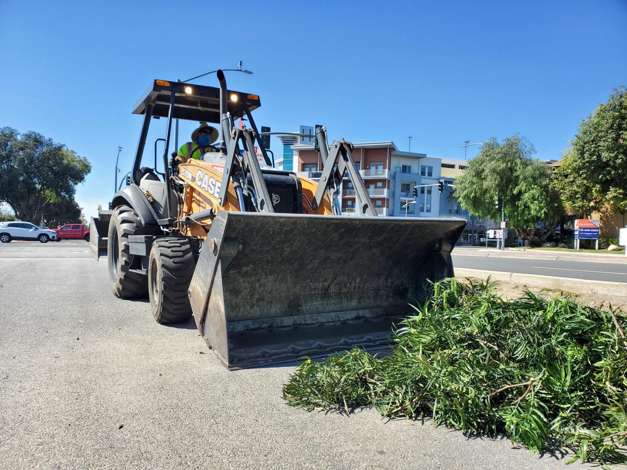 Tree removal_Loader