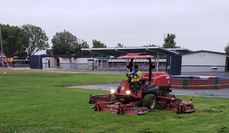 large field mowing_landscape