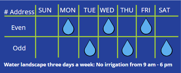 Watering Day Schedule 2022