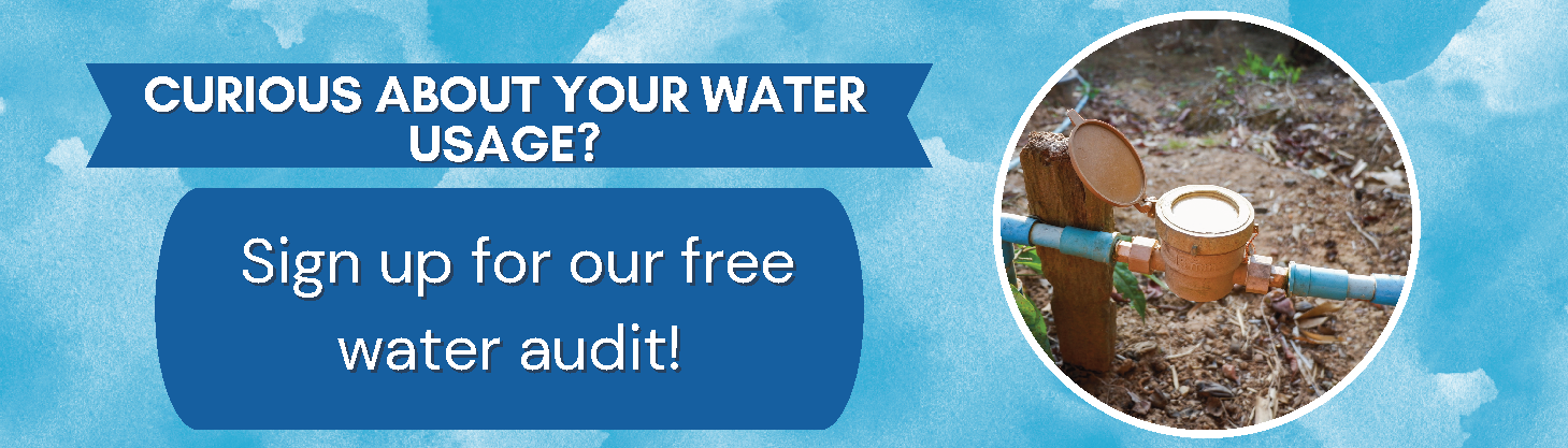 Water Audit